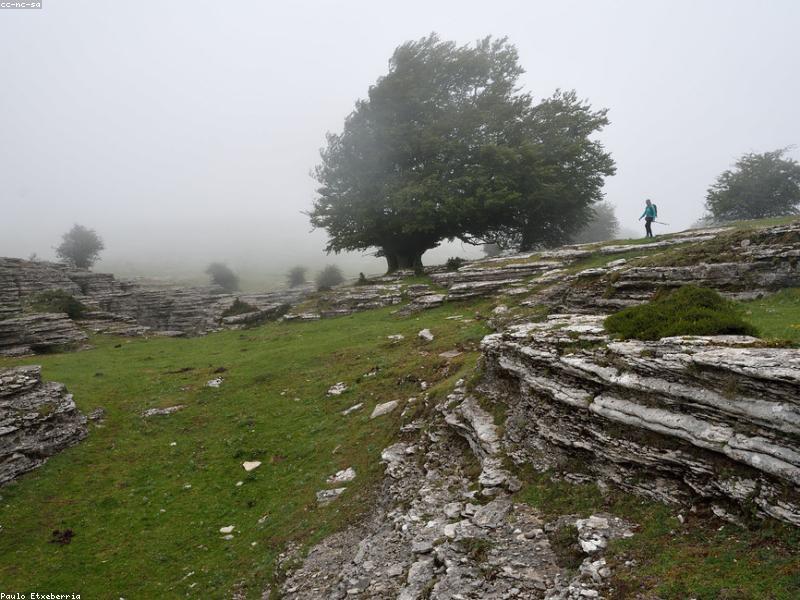 Strategi Peningkatan Kualitas Pelayanan Front Office Hotel Bintang Lima