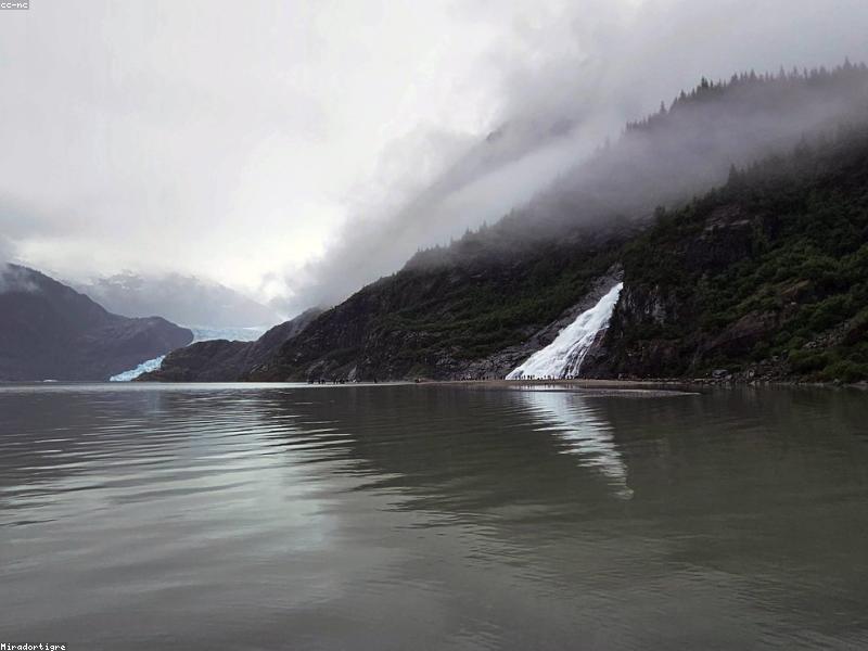 Manajemen Salon Kecantikan dengan Sistem Digital