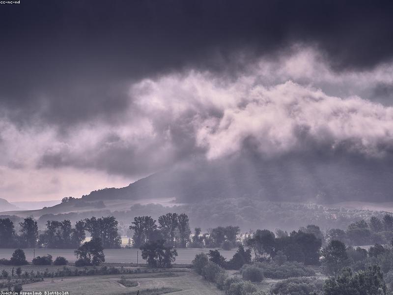 Pengolahan Makanan Sehat dengan Konsep Farm to Table